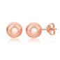 Exclusively Silver Ball Studs
