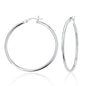 Exclusively Silver High-Polished Earrings